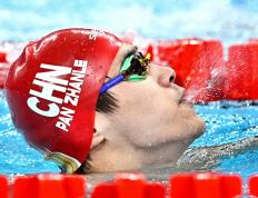 IM体育官网入口-巴拿马游泳选手突破自我，闯进决赛的简单介绍