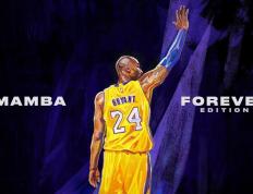 IM体育官方网-从孟菲斯到沈阳，小贾伦爆发之夜，灰熊式防守如何强行终结辽宁队的冠军节奏