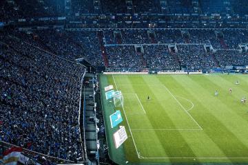 IM体育app-波尔单骑破阵，奥地利战术碾压令葡萄牙星光黯淡