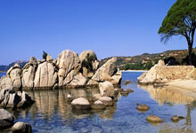 IM体育官方平台-DK绝杀TL，Hanssama打出惊人五杀鏖战多局四强赛，技惊四座的简单介绍