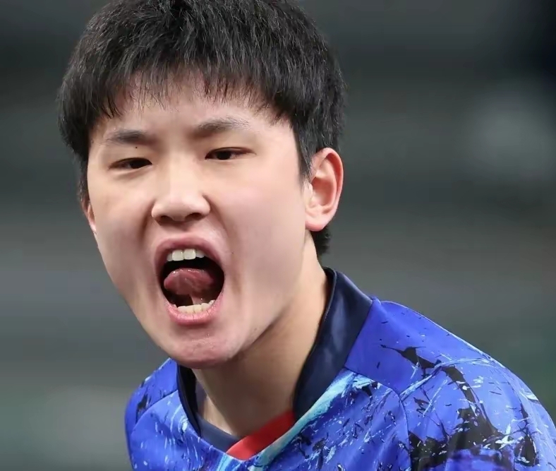 IM体育社区互动入口-波兰乒乓球队绝杀法国乒乓球队，张本智和爆发神勇的简单介绍