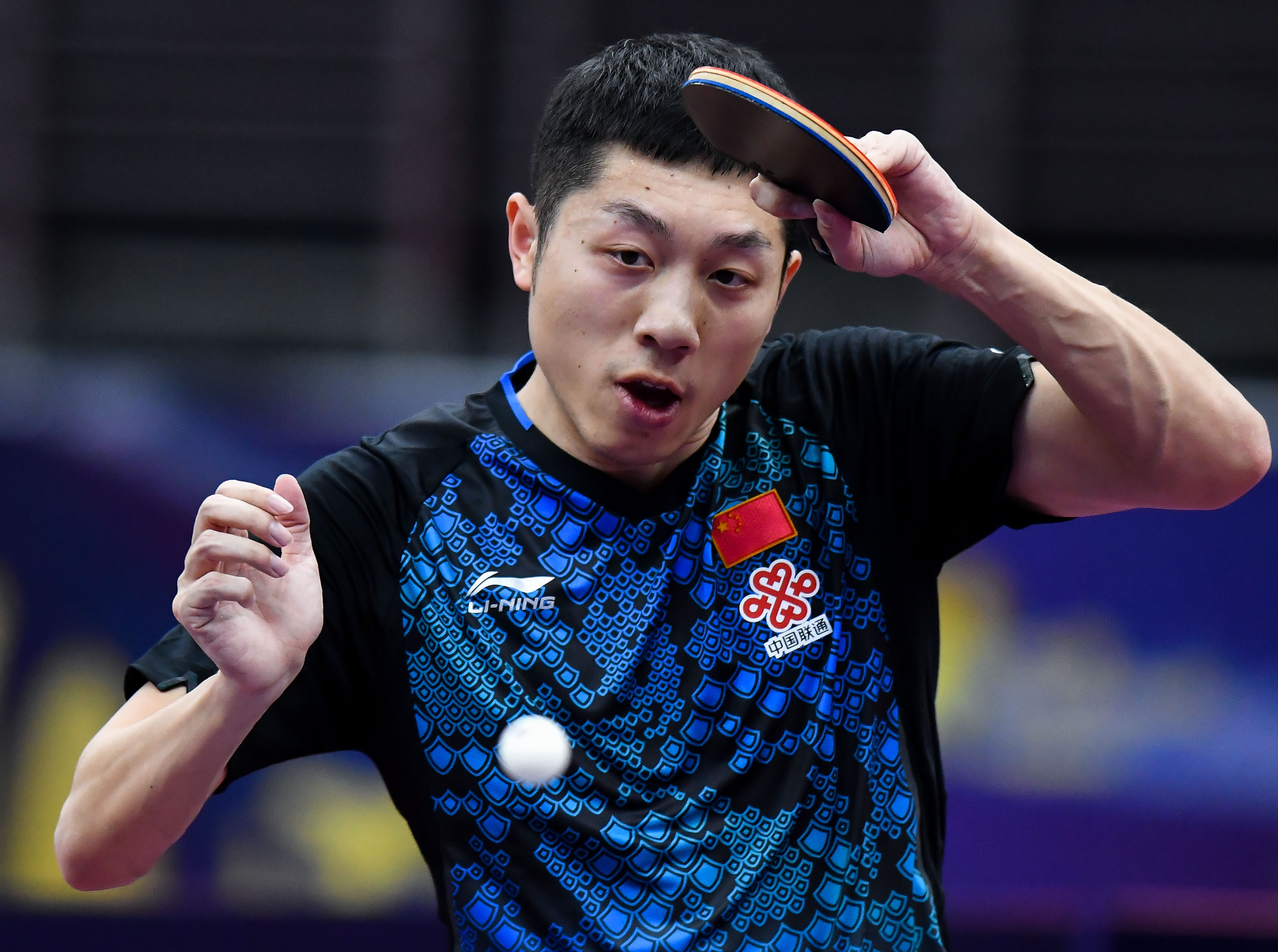 IM体育官网-波兰乒乓球队强势韩国乒乓球队,许昕惊艳世界的简单介绍