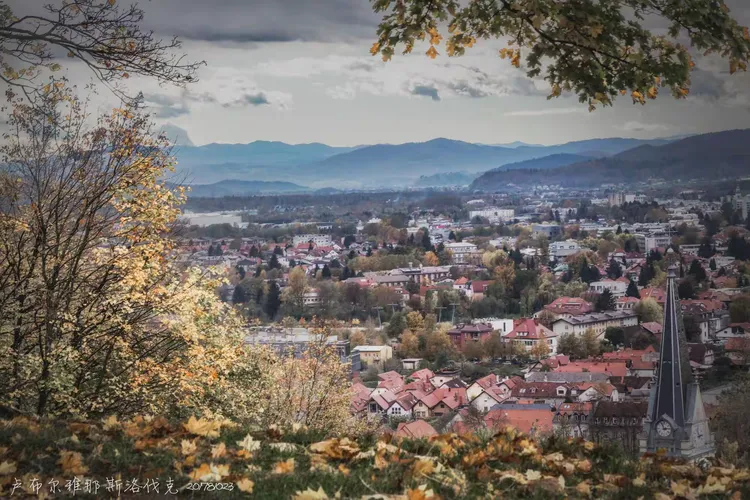 IM体育动画直播通道-斯洛伐剧本反转,击败斯洛文尼亚