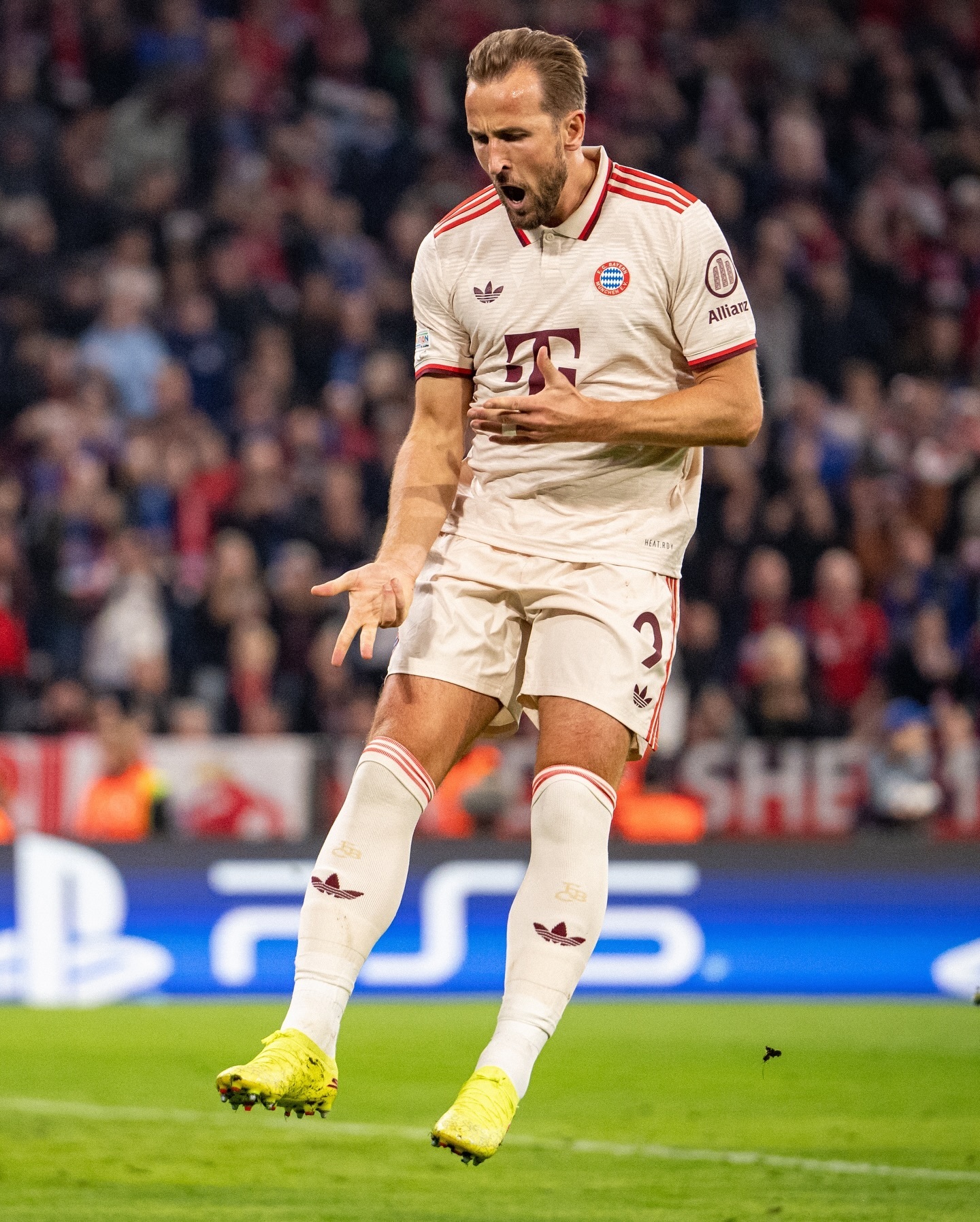 IM Sport-拜仁慕尼黑球迷期待：新赛季更多精彩德甲表现的简单介绍