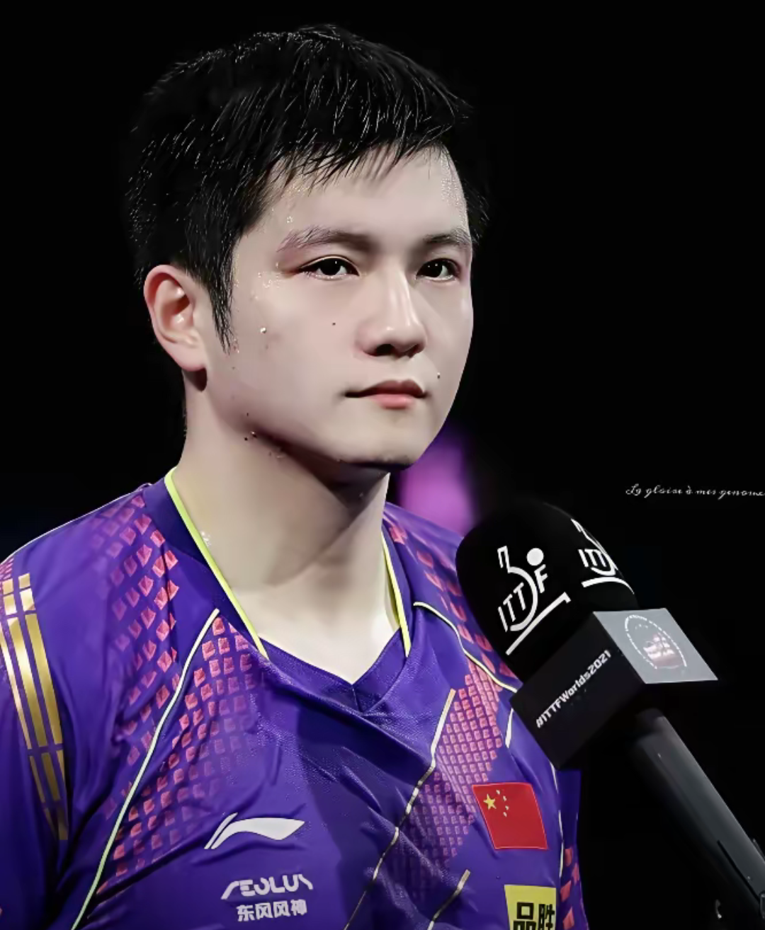 IM体育平台-奥地利队横扫波兰队,樊振东统治全场的简单介绍