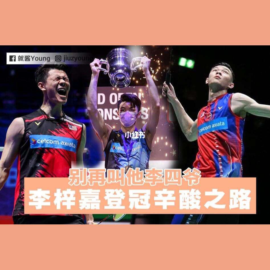 IM体育赛事直播入口-丹麦队翻盘日本队，李梓嘉统治全场