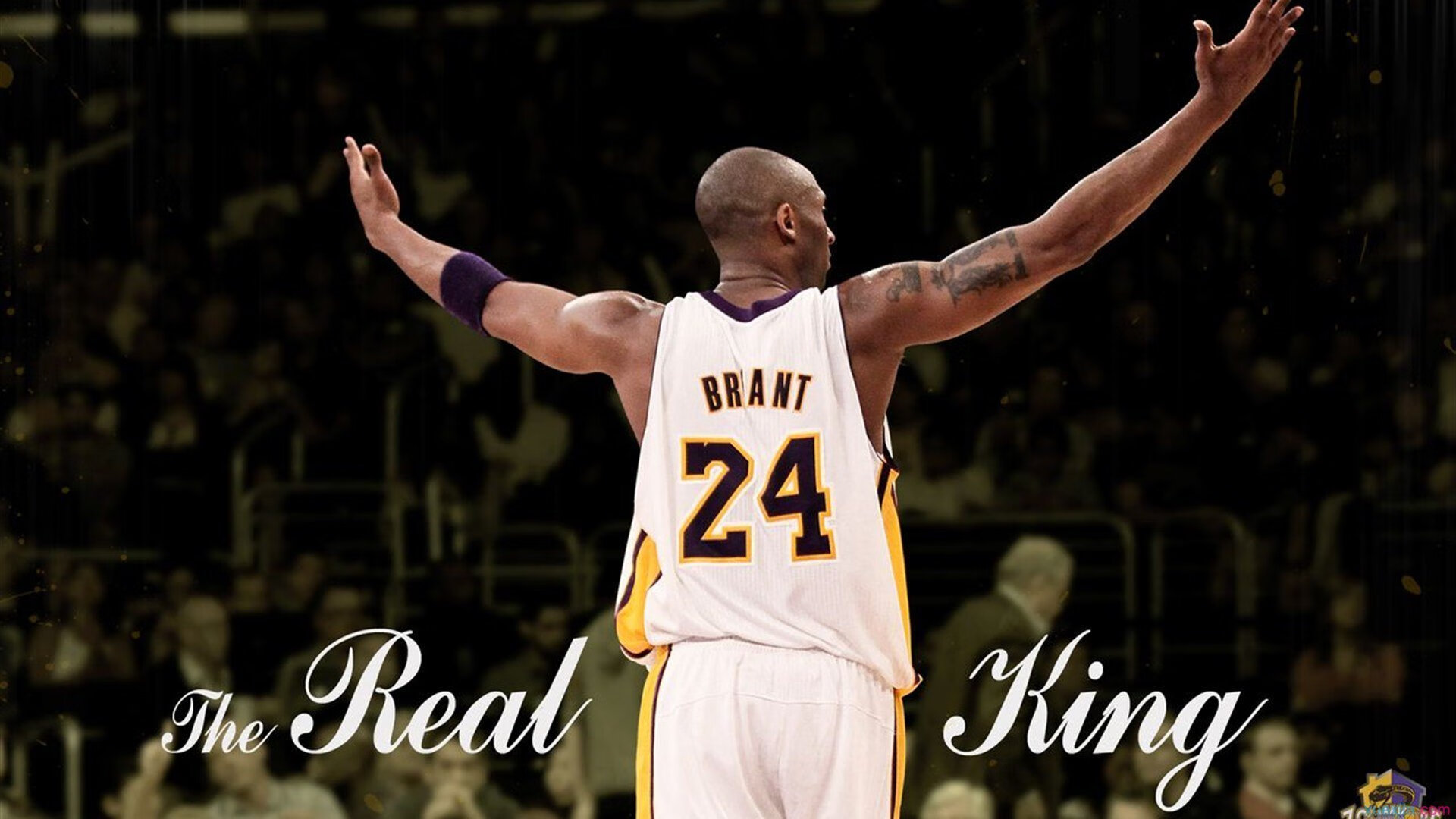 IM体育动画直播通道-武切维奇爆发之夜，湖人险胜马刺，淘汰赛惊险过关